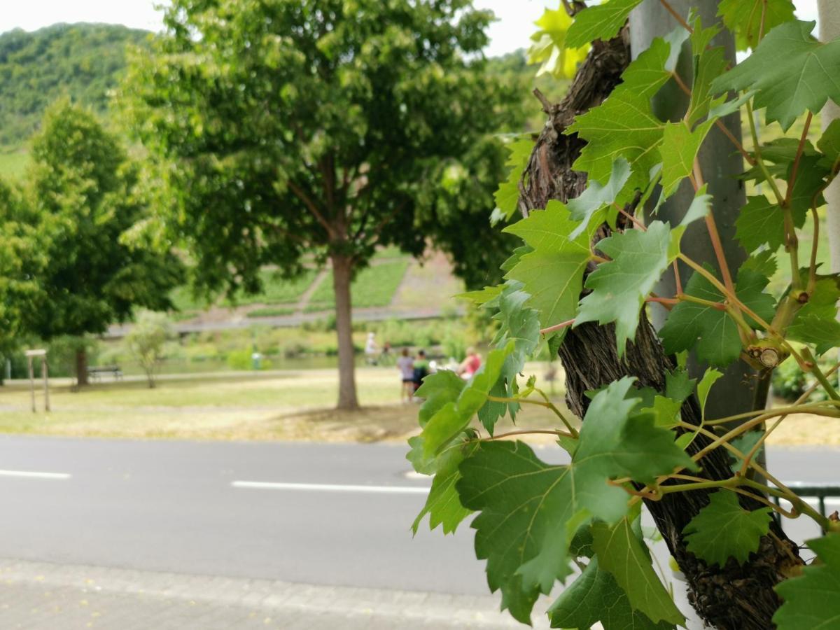 Ferienwohnung Moselblick Bruttig-Fankel Bagian luar foto